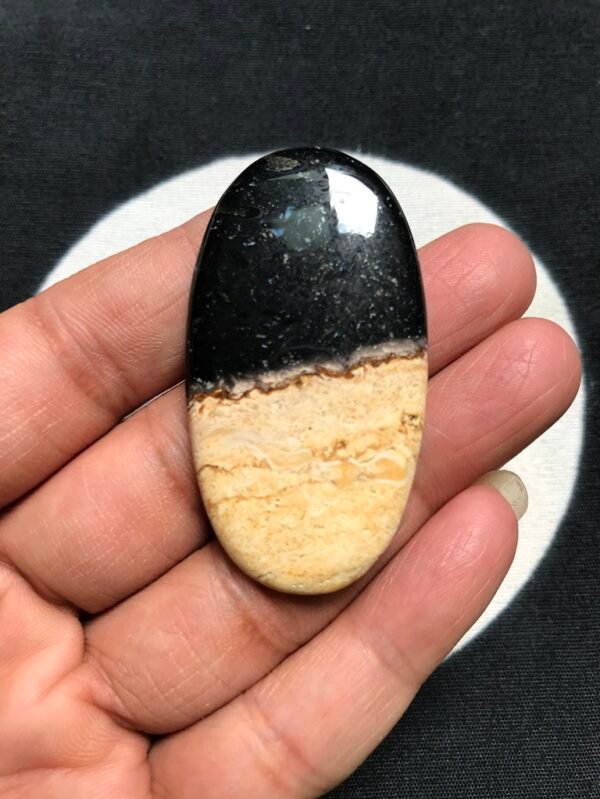 Palm Wood Jasper Cabochon 1 Piece Size 50 MM Approx