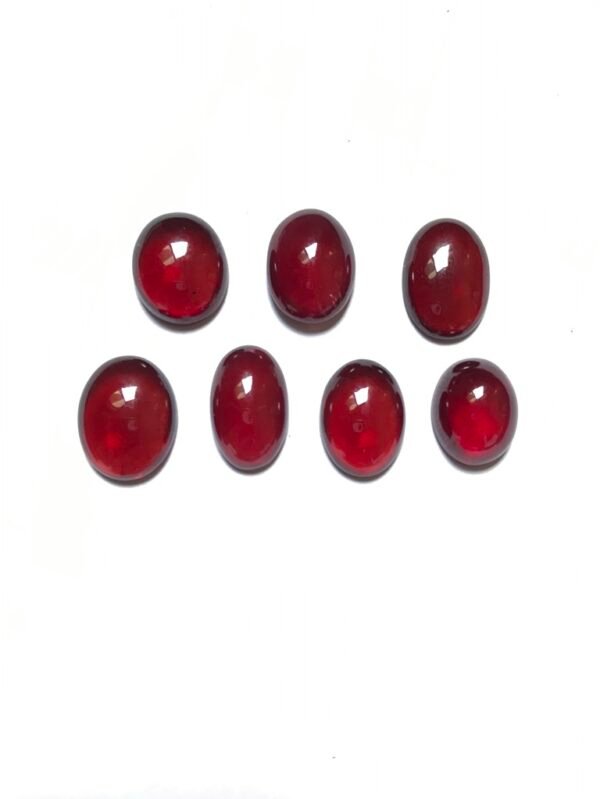 Garnet Cabochon 7 Piece Size 14-11 MM Approx