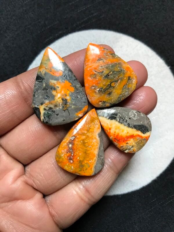 Bumble Bee Jasper Cabochon 4 Piece Size 32-25 MM Approx