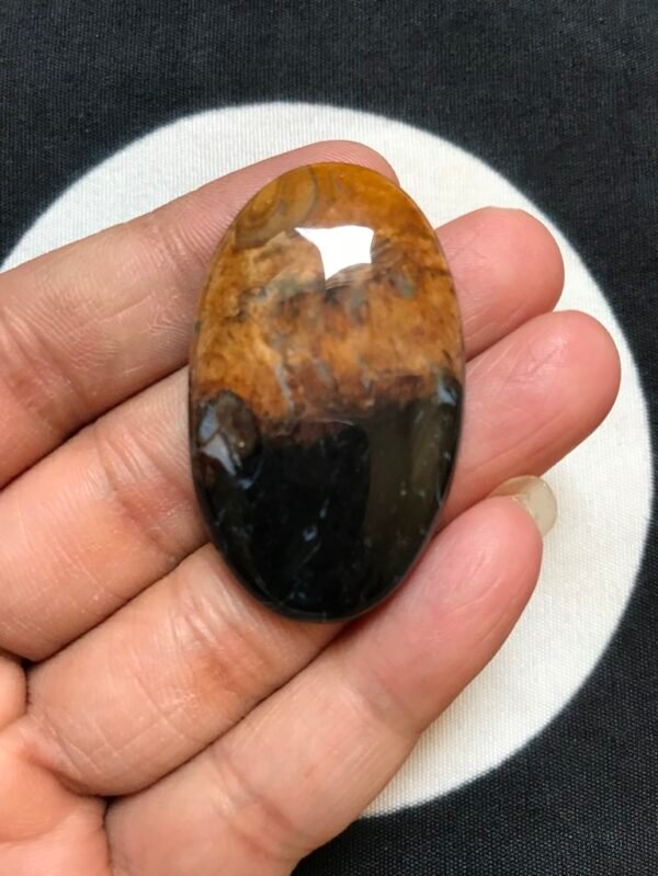 Palm Wood Jasper Cabochon 1 Piece Size 44 MM Approx