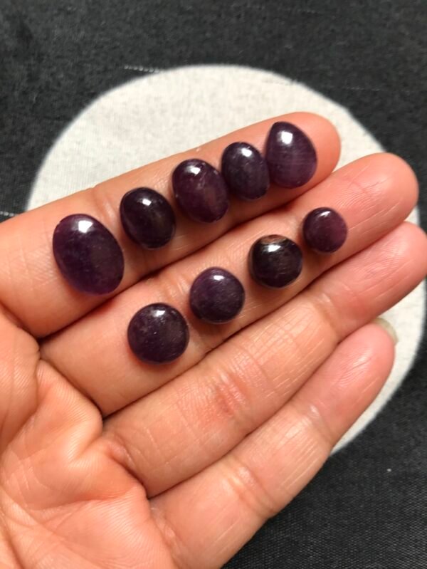 Garnet Cabochon 9 Piece Size 13-7 MM Approx