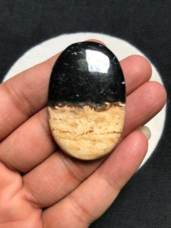 Palm Wood Jasper Cabochon 1 Piece Size 45 MM Approx