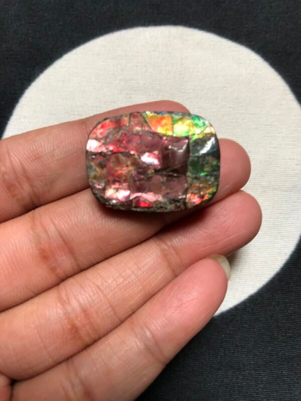 Ammolite Druzy Cabochone 1 Piece 27 MM Approxx