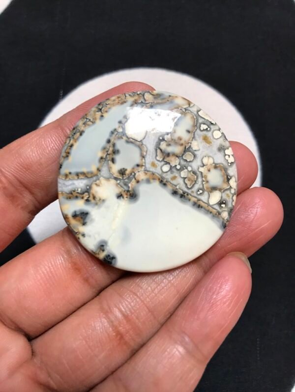 Maligano Jasper Cabochon 1 Piece Size 42 MM Approx