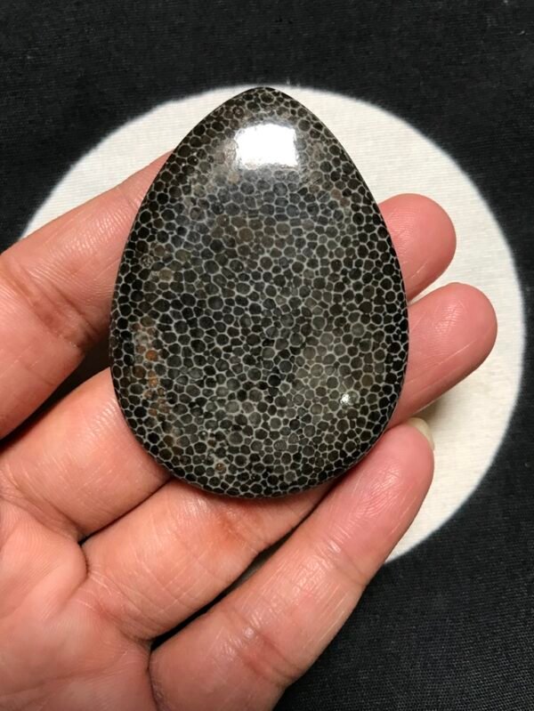 Gemstone Cabochons 1 Piece Size 55 MM Approx